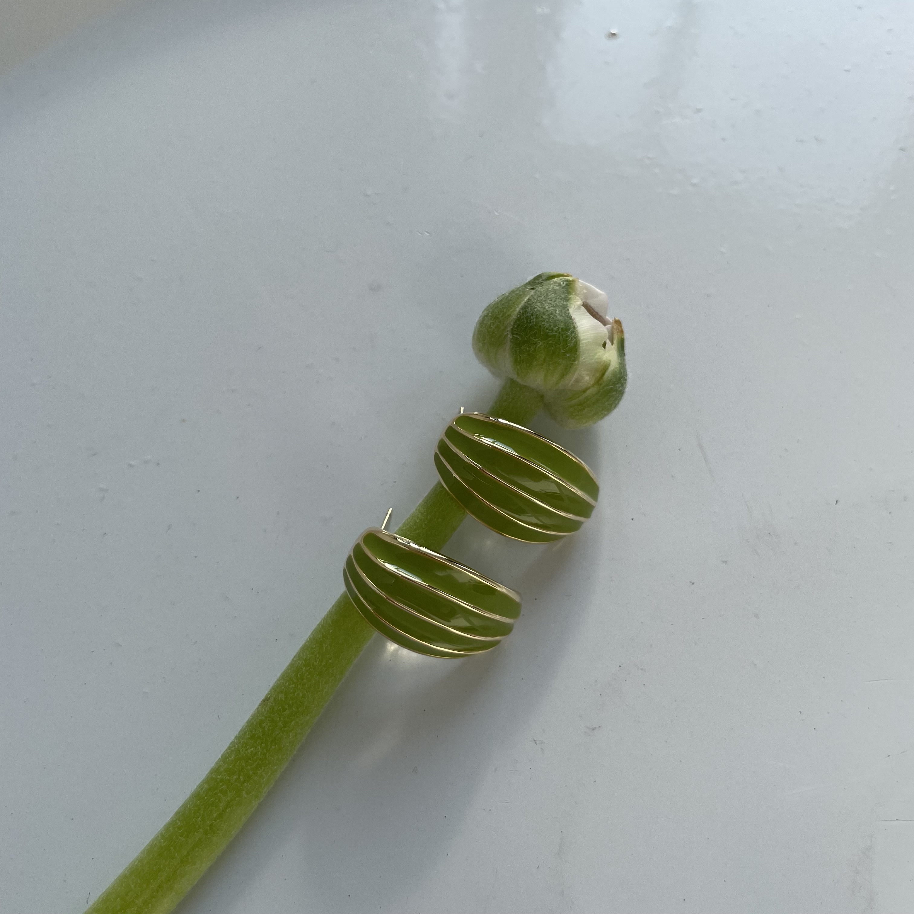 картинка Серьги "Green beetle"